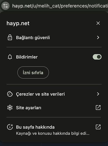 tarayıcı-bildirimleri